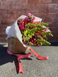 Single Variety- Snap Dragons