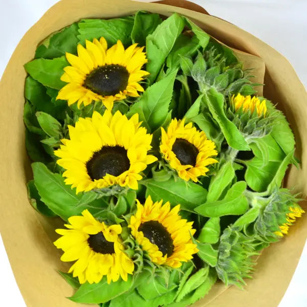 Sunflower Bouquet – Single Variety
